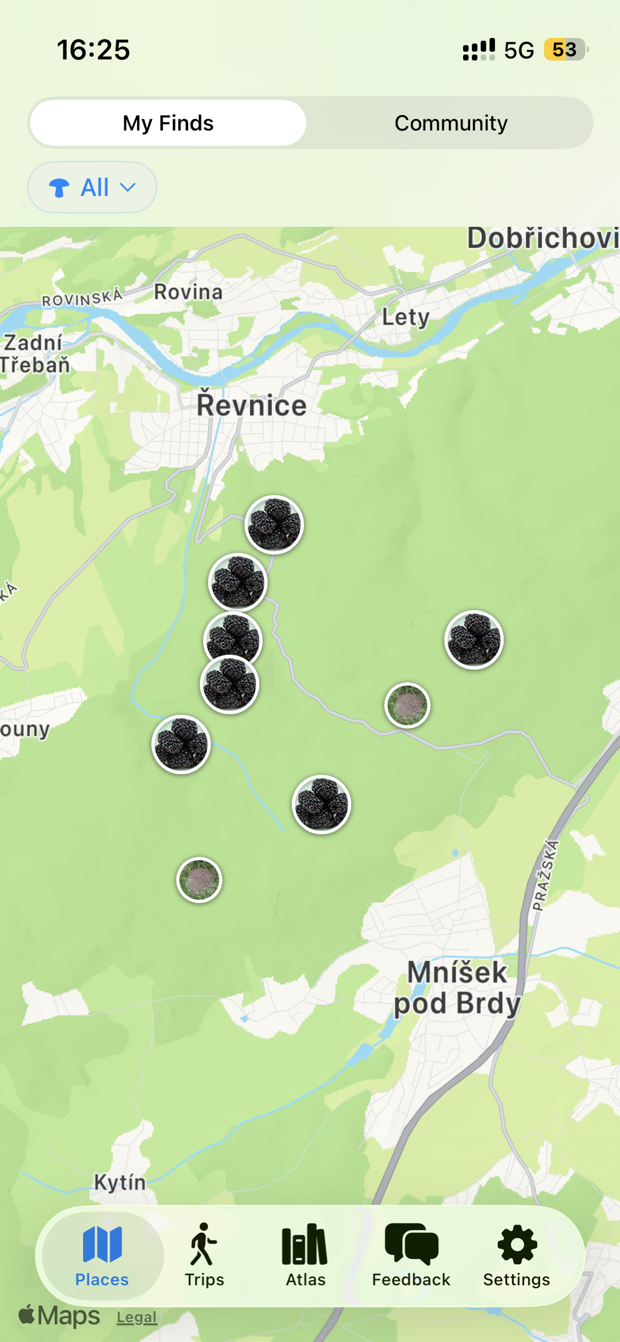 Here Shroom map of foraging finds